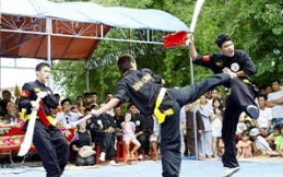 Ảnh tham khảo hoạt động võ thuật